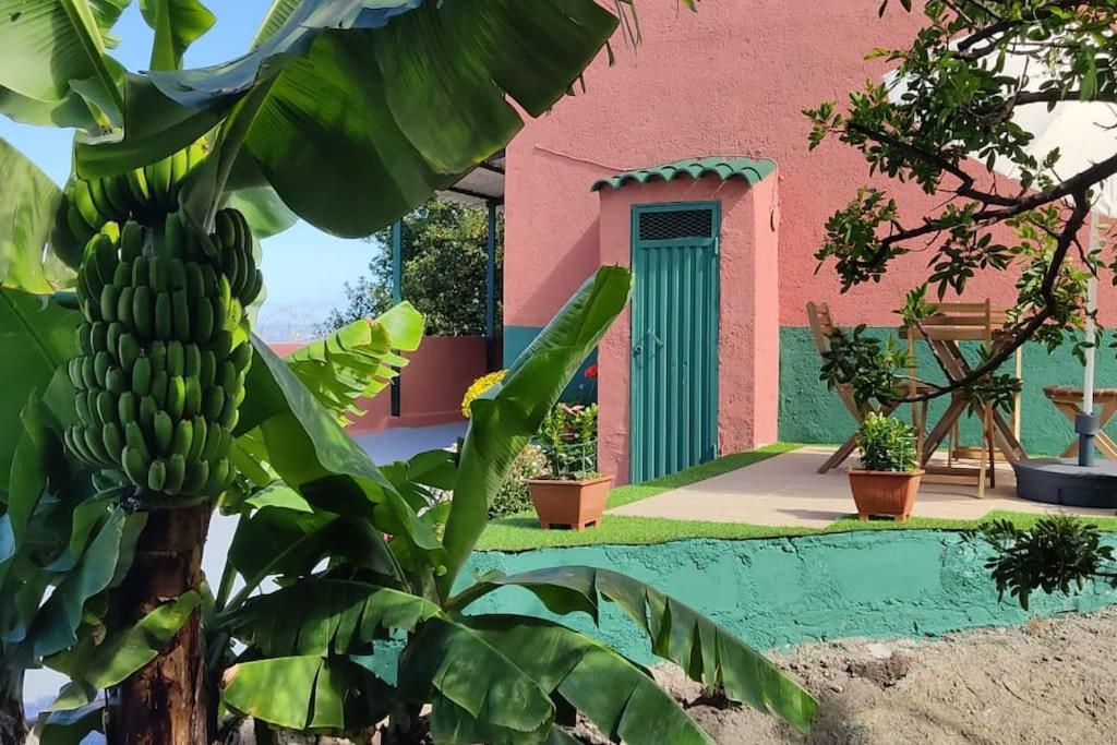Casa Mamatina, En Los Realejos Eksteriør billede